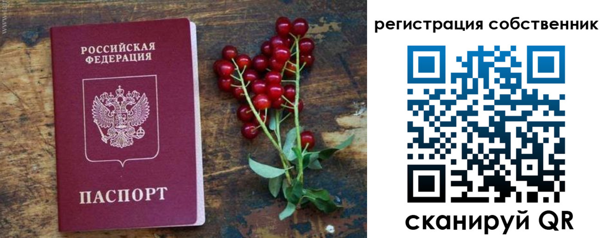 регистрация для дет. сада в Белогорске